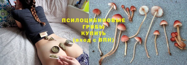 синтетический гашиш Ладушкин