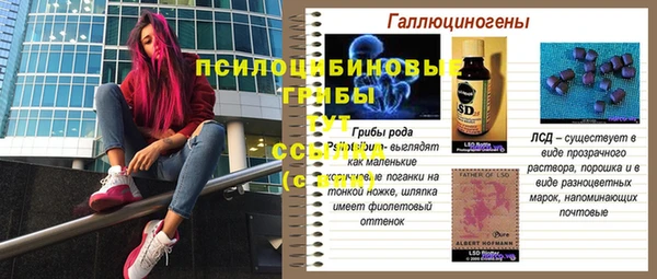 трава Лабытнанги